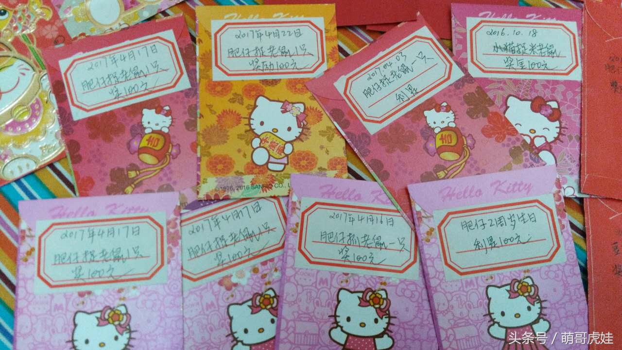 铲屎的把喵星人当孩子养，逢年过节都给大红包，每年的红包钱都存起来捐给寺庙帮小猫求平安