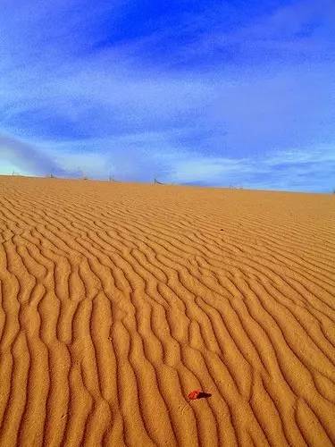 这个暑假来加拿大，有什么freestyle的新玩法？
