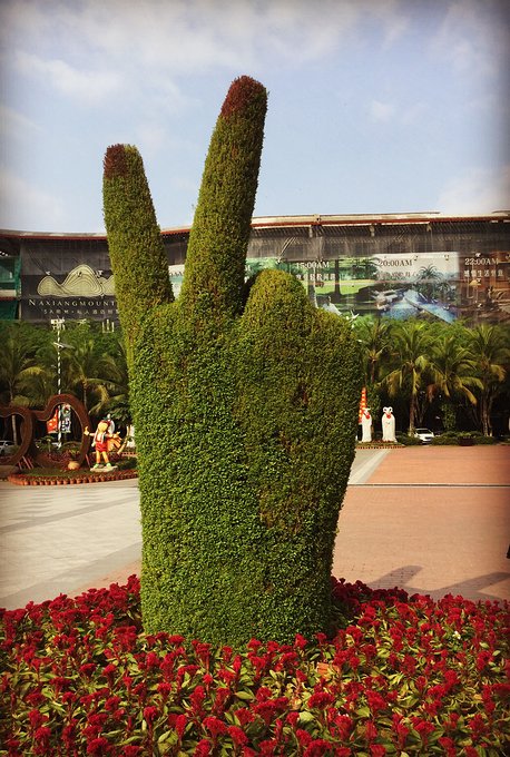 三亚呀诺达半天能玩完么,三亚旅游哪里吃海鲜最便宜