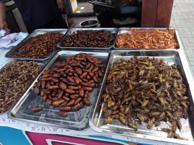 香河一日游看荷花,周边自驾游荷花