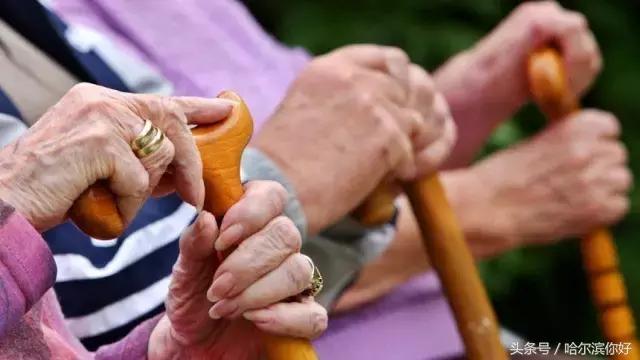 哈尔滨尚志未来5年规划,哈尔滨尚志最新规划