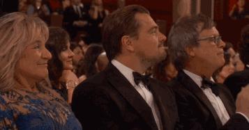 有什么便宜的宠物羊奶粉,宠物便宜的羊奶粉是真正的羊奶吗