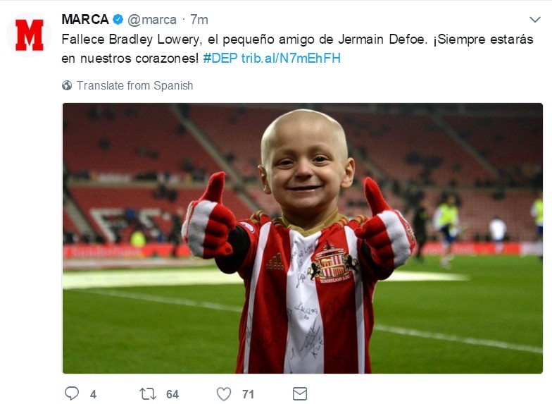 小布拉德利最后的话,小布拉德利视频