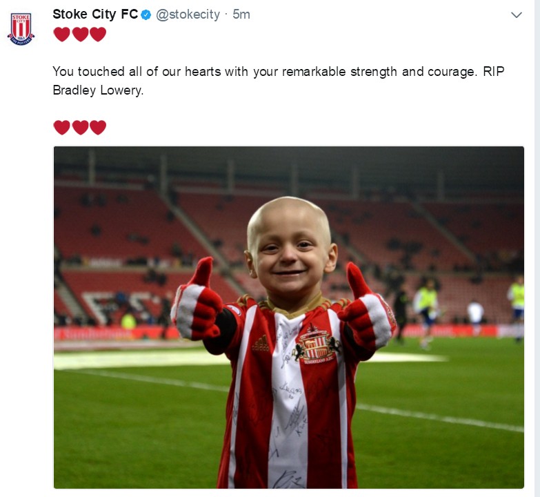 小布拉德利最后的话,小布拉德利视频