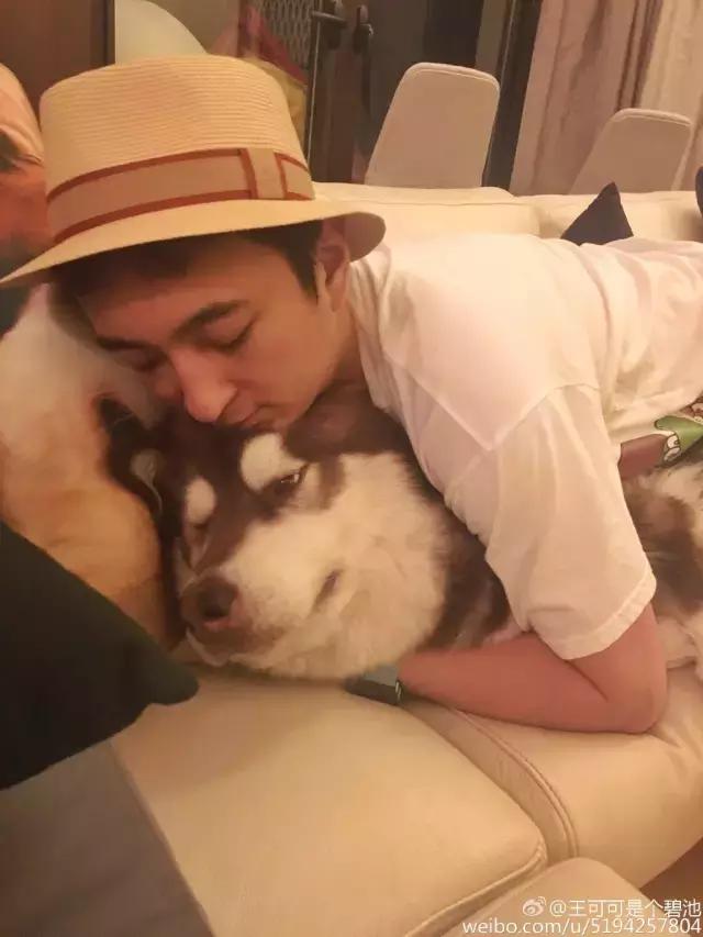 王思聪的狗坐私人飞机这和10多万的狗链比算什么？