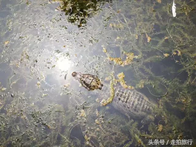 滁州有哪些地方可以下班去逛逛,滁州十大必去景点推荐