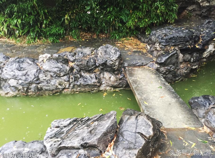 清水凌霄映芙蓉北京日坛公园雨中景｜一绮花见游（原创城市微旅行文章）