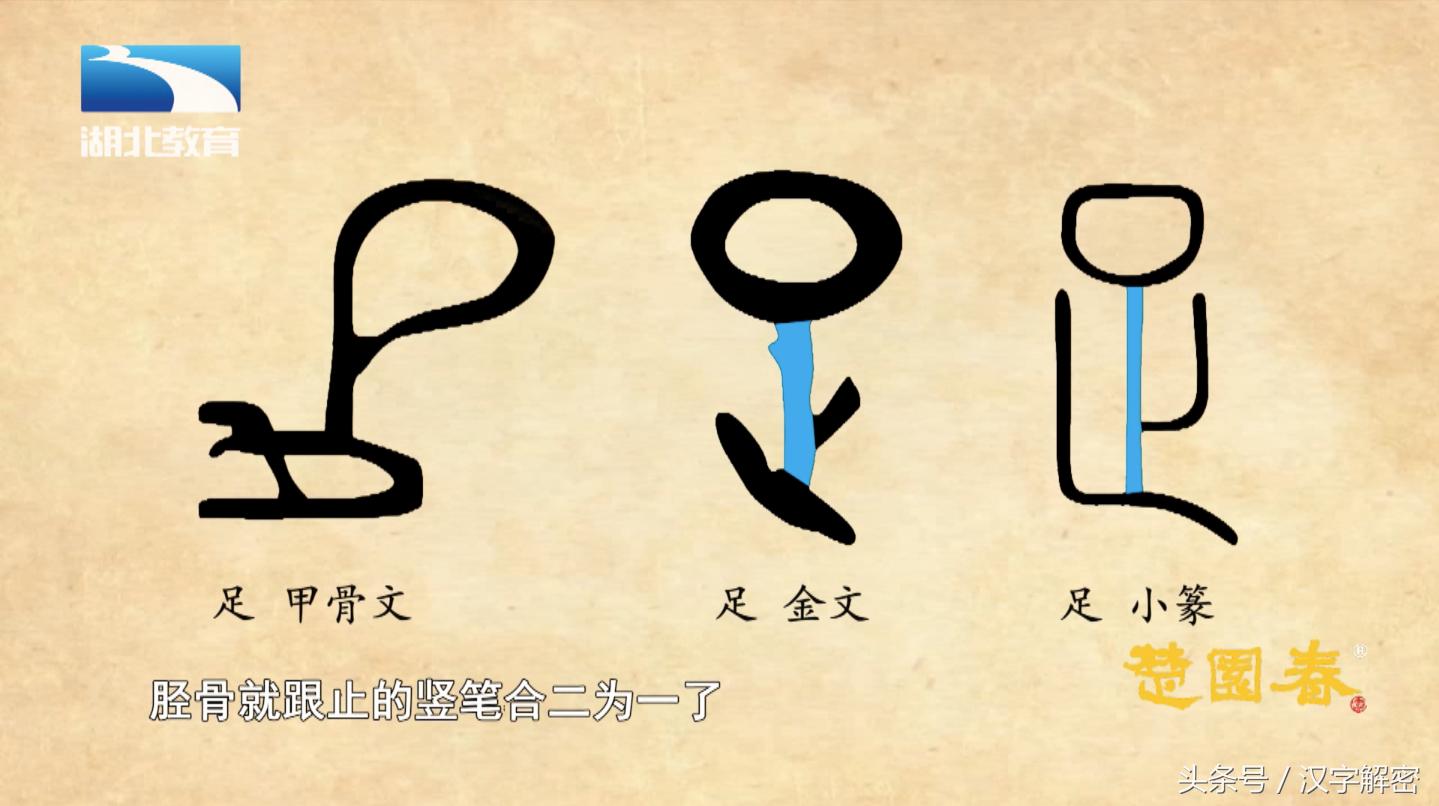 姹夊瓧鍗氬ぇ绮炬繁瑙ｅ瘑,姹夊瓧鍗氬ぇ绮炬繁璋滃簳