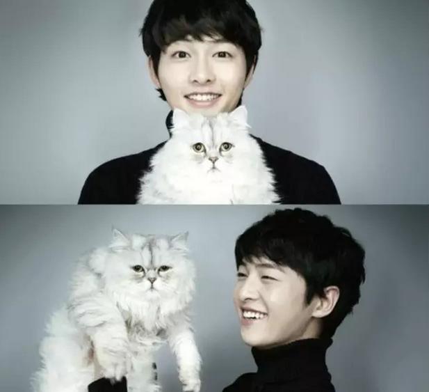 宋仲基宋慧乔为什么相处难,宋慧乔和宋仲基为什么会分开