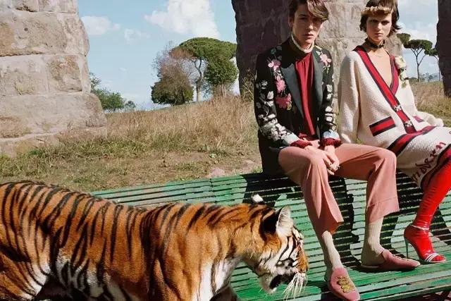 浠ｈ喘gucci鍖呭寘,浠ｈ喘鍜屼笓鏌滅殑gucci