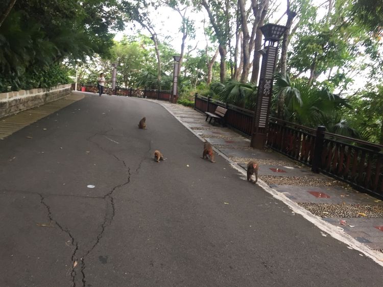 碧海蓝天亚龙湾,三亚美丽的亚龙湾