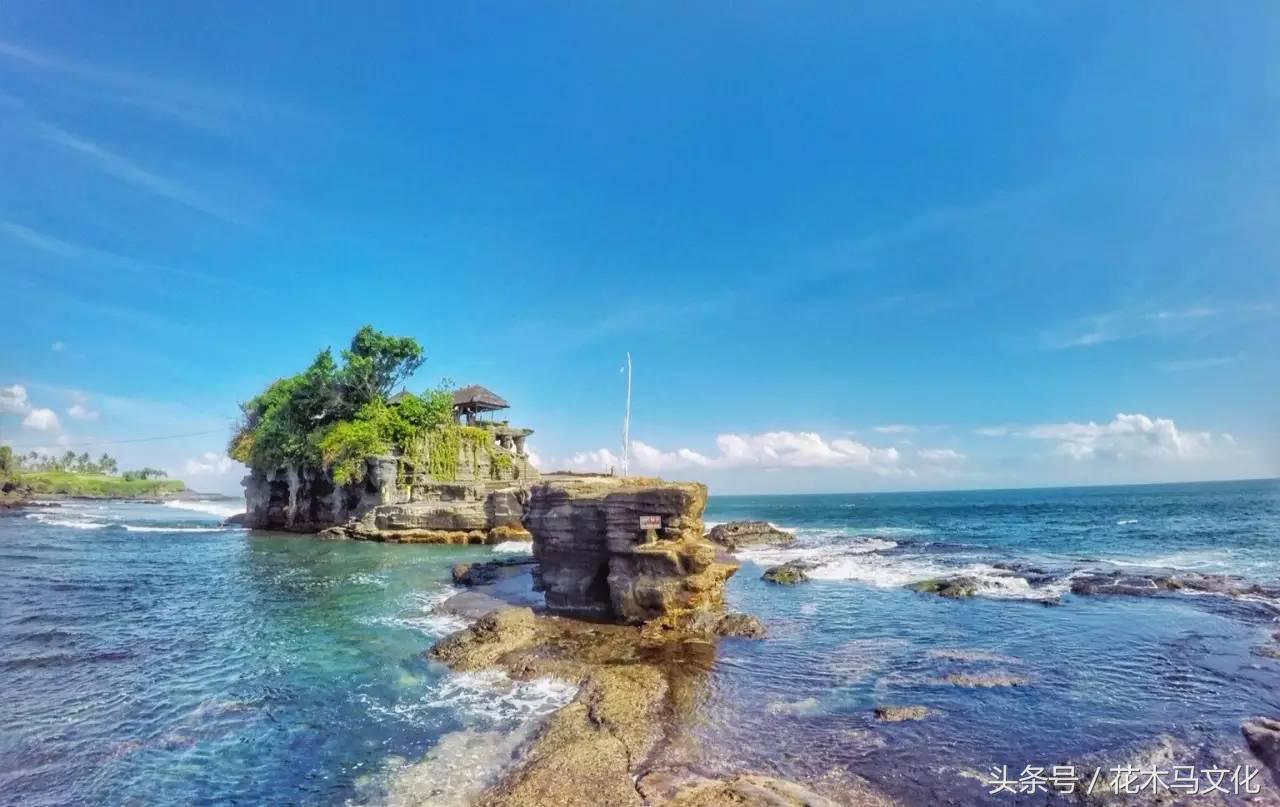 花木马亲子摄影,花木马