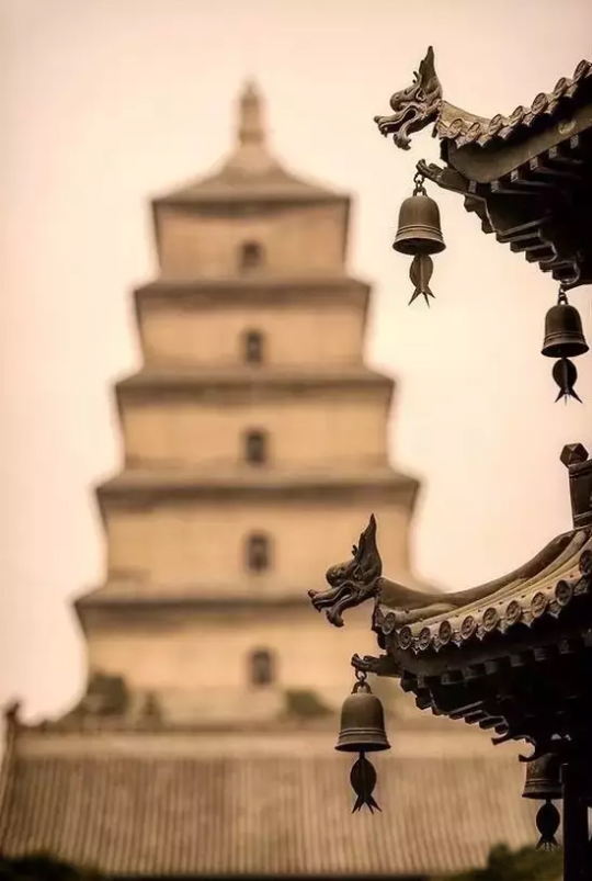 *坐静**焚香生紫烟，浮生难得半日闲，清心寡欲脱俗世，除去沧桑载梦还