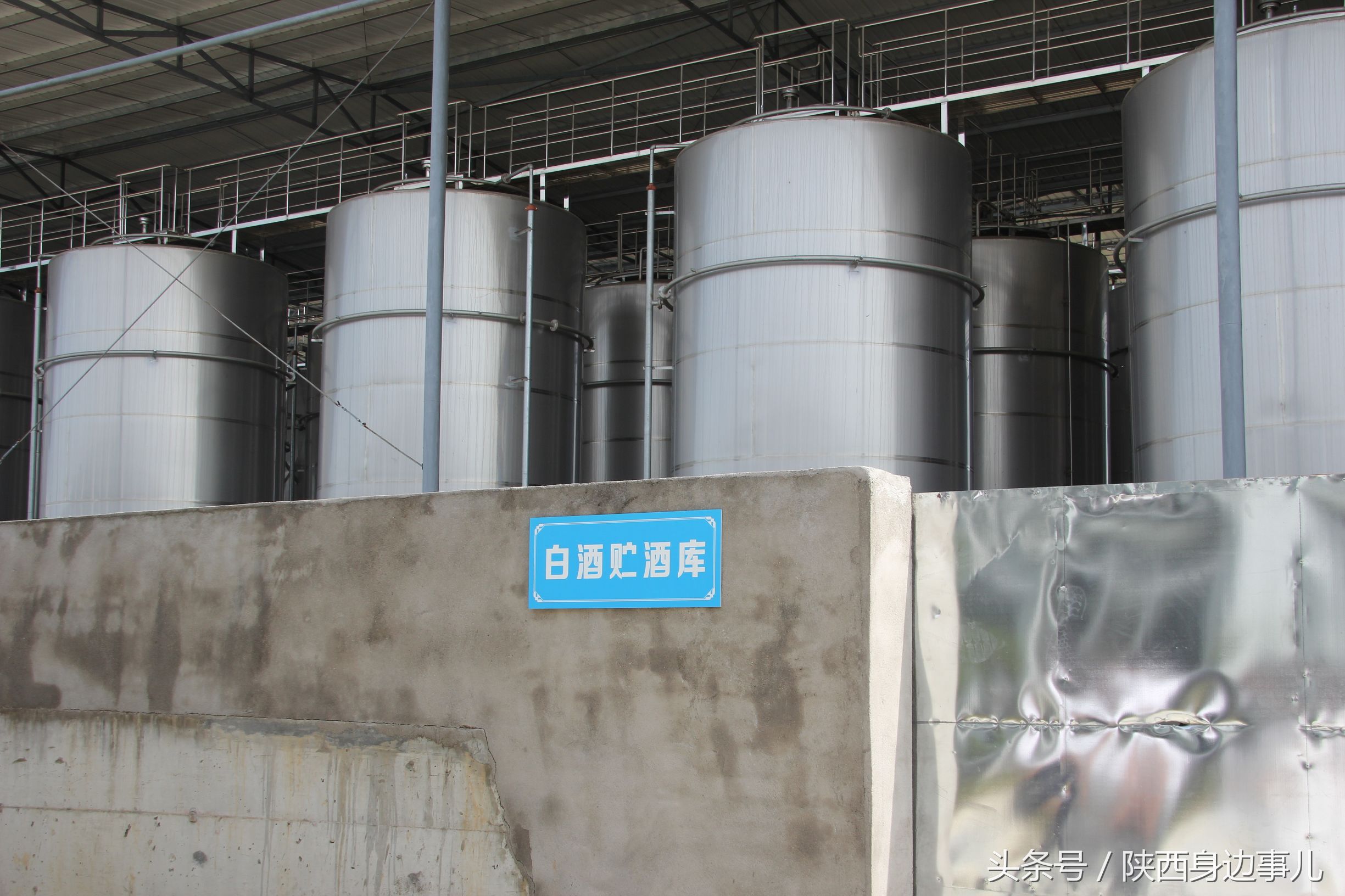 洋县秦洋长生酒业谢村黄酒,洋县秦洋长生酒业抖音号