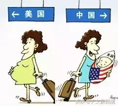 赴美生子流程,赴美生子报价