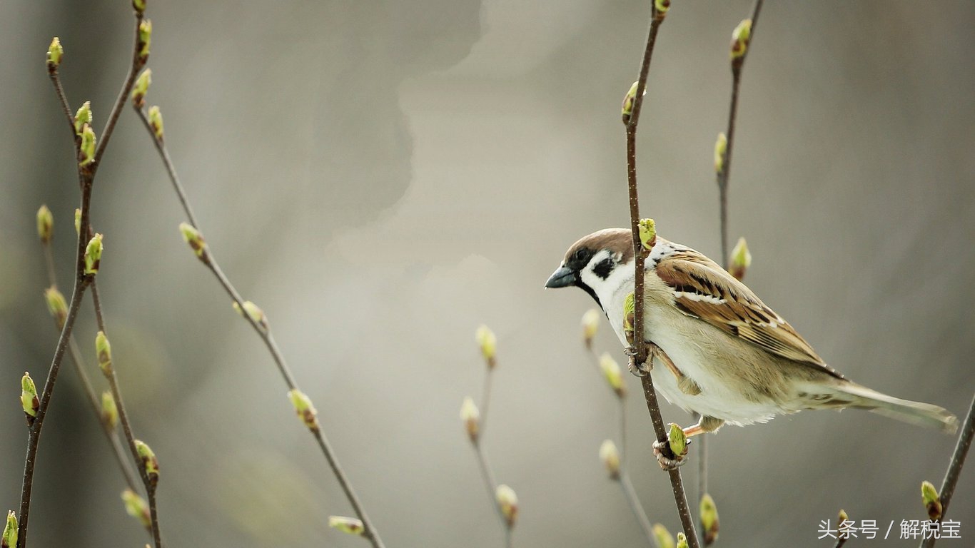发生退货发票已抵扣应该怎么处理,发票不符合申请退货规定怎么办