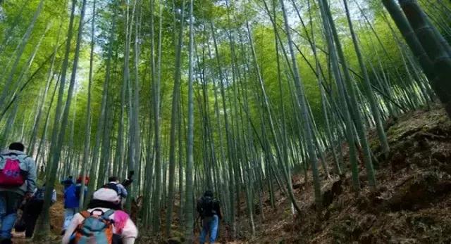 在广东，十二星座最销魂的避暑姿势有哪些？