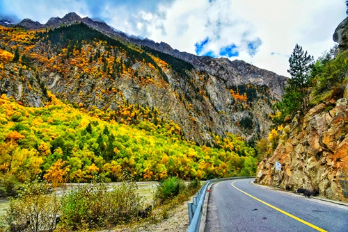 老司机揭秘：去川藏线租车到底什么车合适？