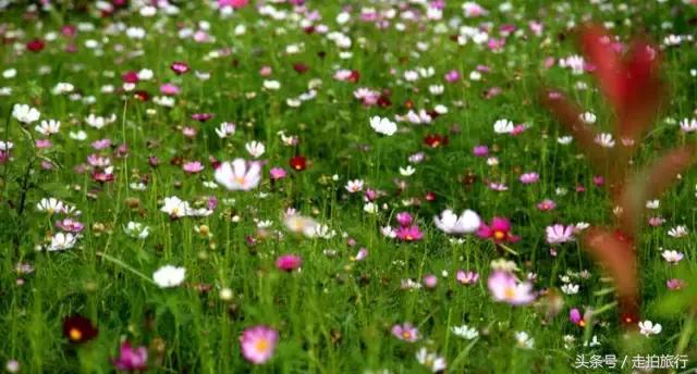 滁州游玩攻略潮玩街区,滁州最值得玩的地方