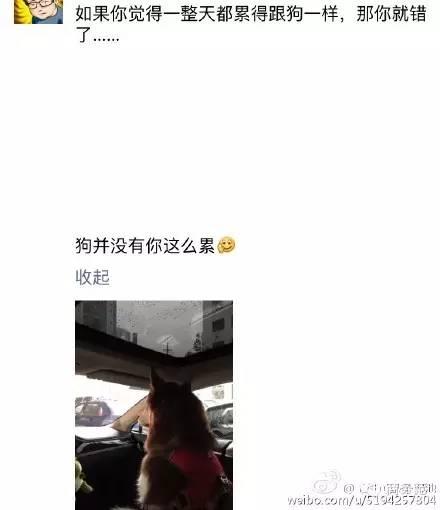 王思聪送王可可视频,王可可怎么遇到王思聪的