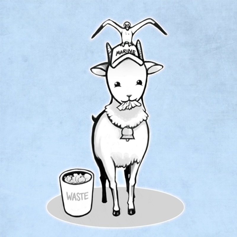 海贼王四圣兽的顺序,海贼王吉祥物排名