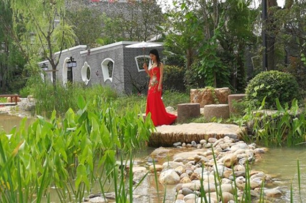 家乡的“荷花节”河南·淮阳