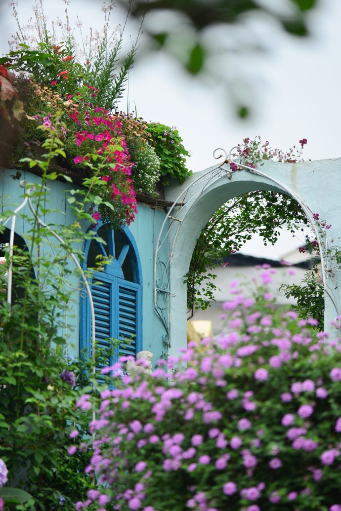 成都玛莉亚色彩花园,成都玛莉亚色彩花园电话