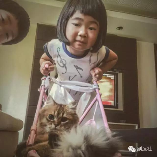 樱桃小丸子童年有多惨,真人版樱桃小丸子图片