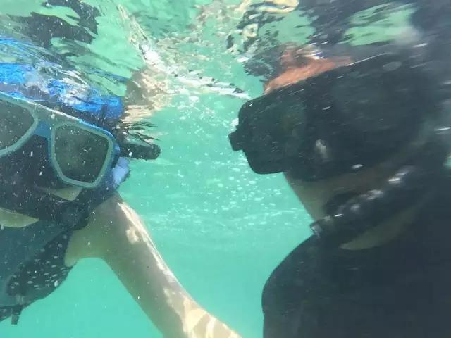 3000元海岛游,3000元买个岛