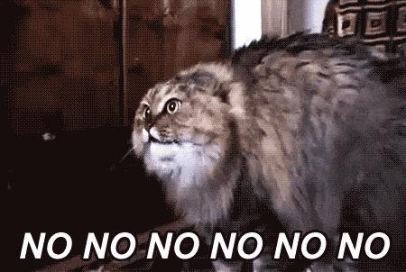 你是色盲吗？一个裙子挑起的战争