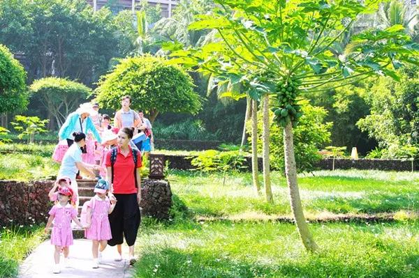 亚龙湾红树林酒店室内玩乐,亚龙湾红树林酒店潜水体验