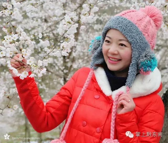 世界观赏樱花的3个地方,看樱花了吗