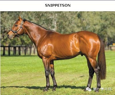 快跑100米用多少秒,快跑1000米