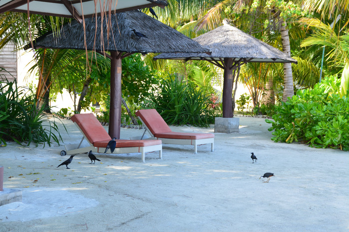 马尔代夫哈库拉岛好不好,马尔代夫哈库拉岛6日自助游