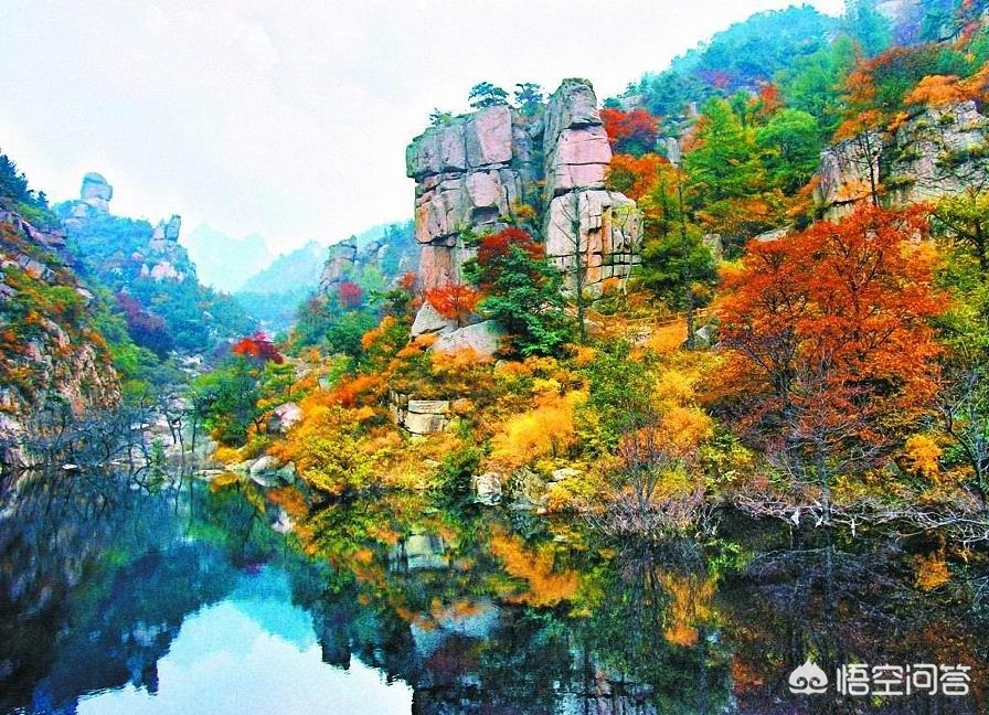 青岛是个什么样的城,青岛是一座什么小城