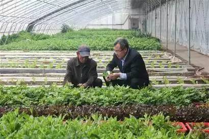 青岛特色小镇,青岛老城区打造