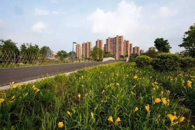 无锡向北发展江阴向南发展,无锡向北江阴向南一体化