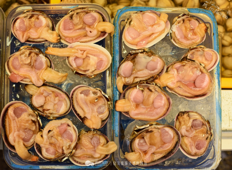 跟着RM探寻济州东门市场