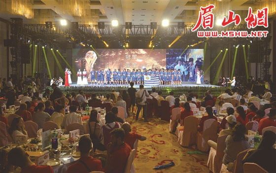 第四届国际青少年足球邀请赛,瓦屋山杯足球联赛