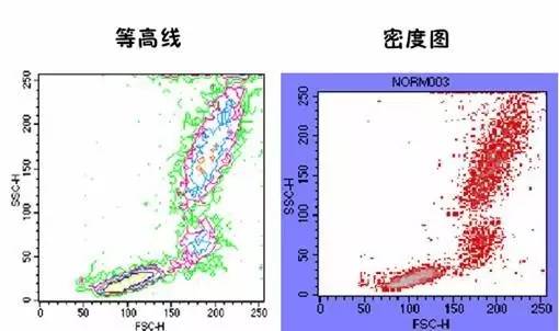 你这磨人的小妖精视频,你这磨人的小妖精下一句是什么呢