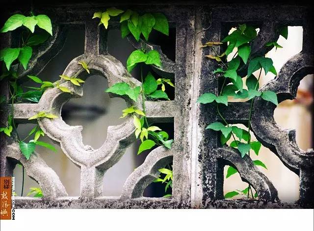 鼓浪屿申遗过程,鼓浪屿申遗40年成功了吗