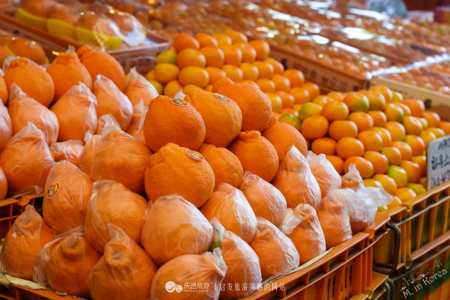 跟着RM探寻济州东门市场