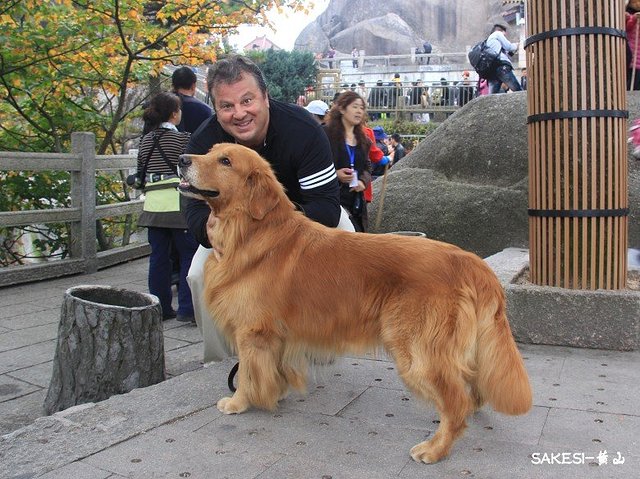 金毛萨克斯,金毛挑战全部视频