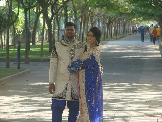 在斯里兰卡旅游必做的10件事,在斯里兰卡的难忘旅行经历