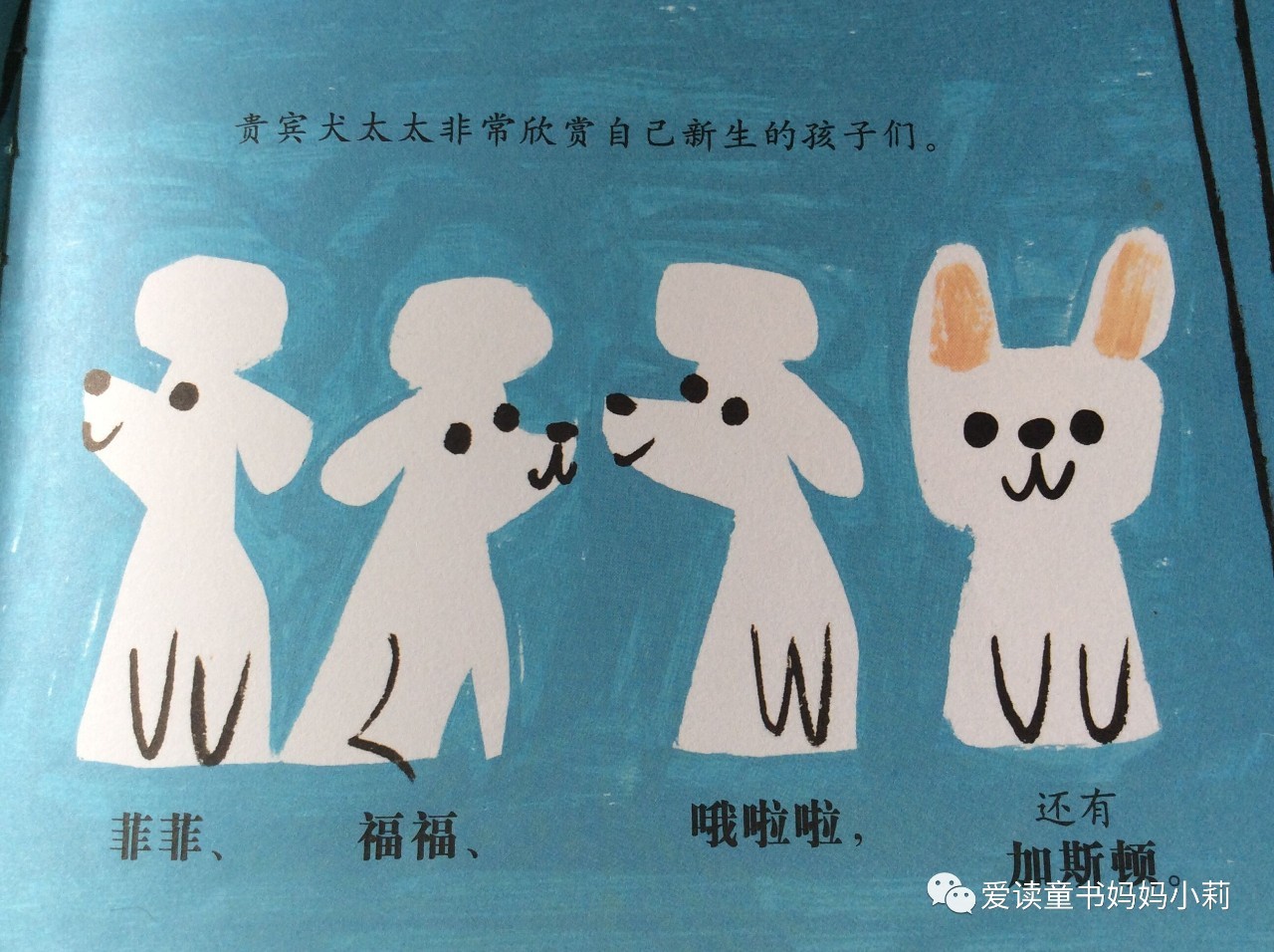 农场主，家庭主妇，音乐家，巴菲特为什么不让孩子继承自己的商业帝国