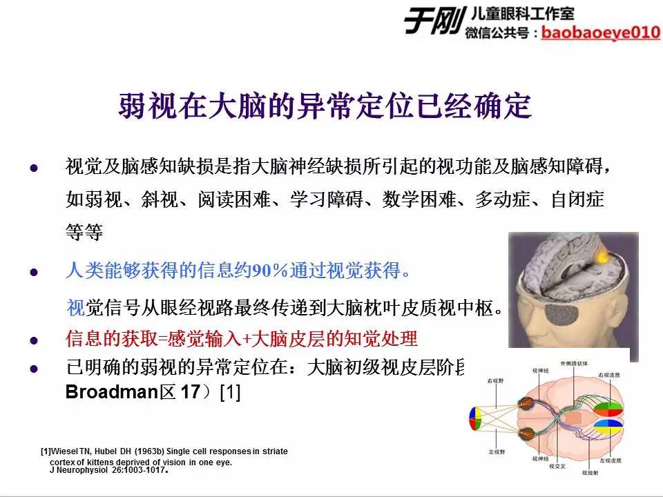 近视弱视斜视培训,弱视斜视课程