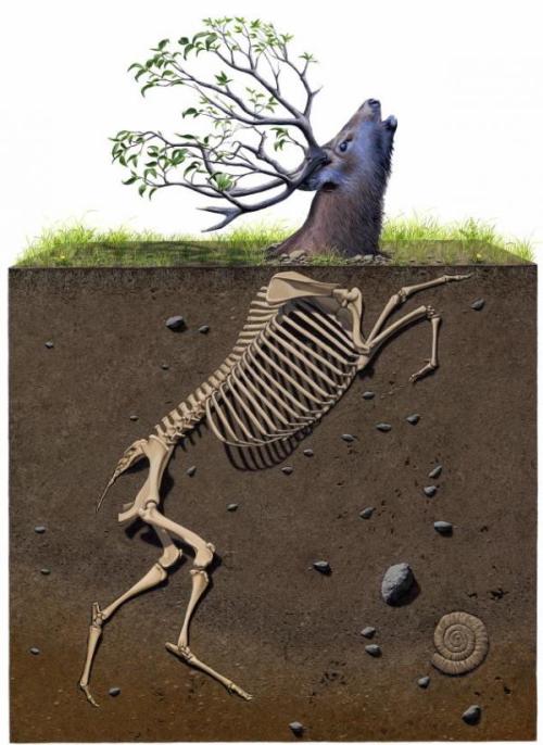 Python通过对FB、INS采集，为网络灰产项目进行卖水赚钱