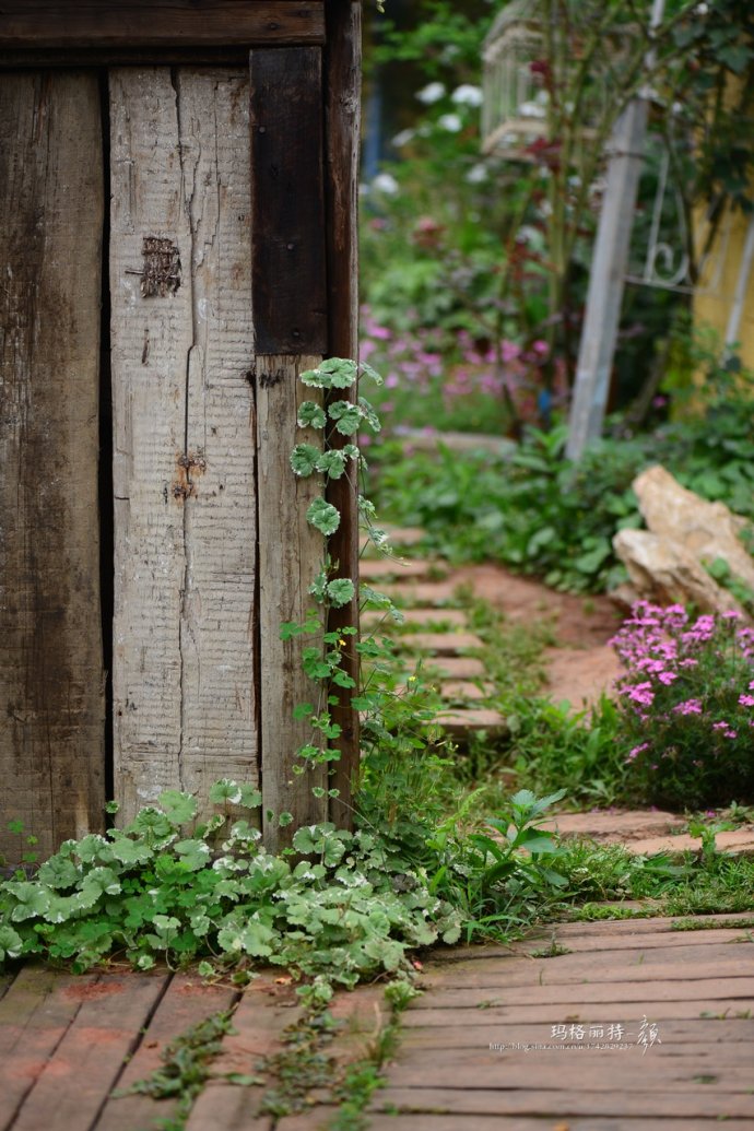 成都玛莉亚色彩花园,成都玛莉亚色彩花园电话