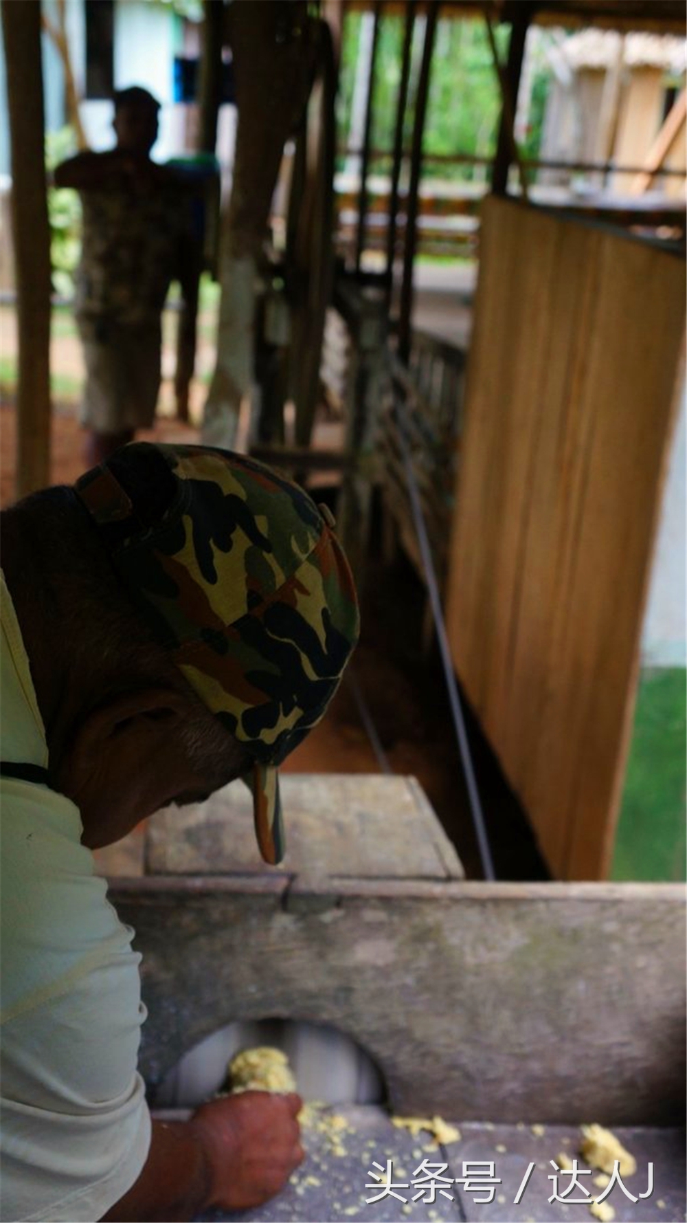 达人J：巴西的盛宴