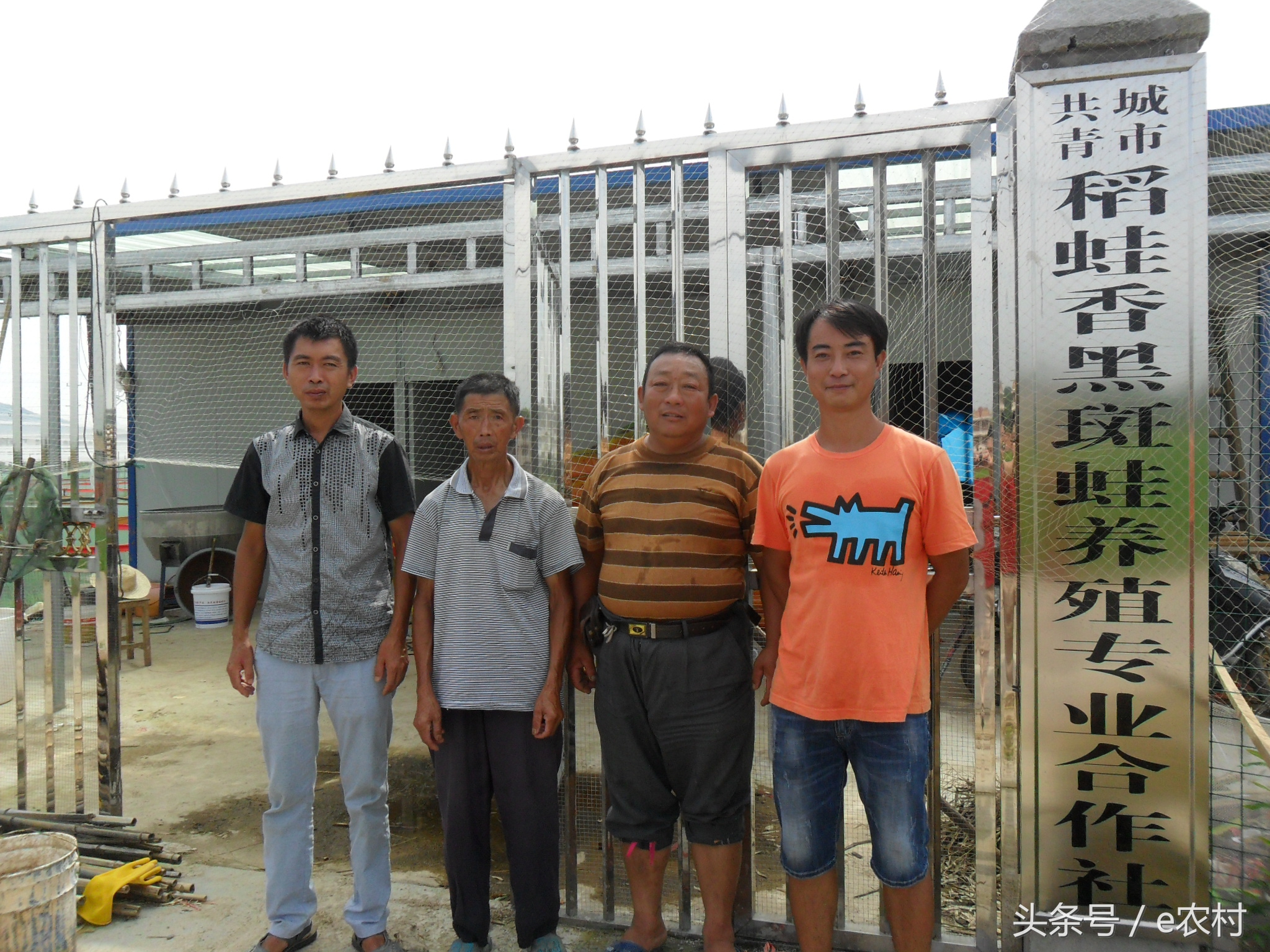 致富经养石蛙近期视频,cctv7致富经2016